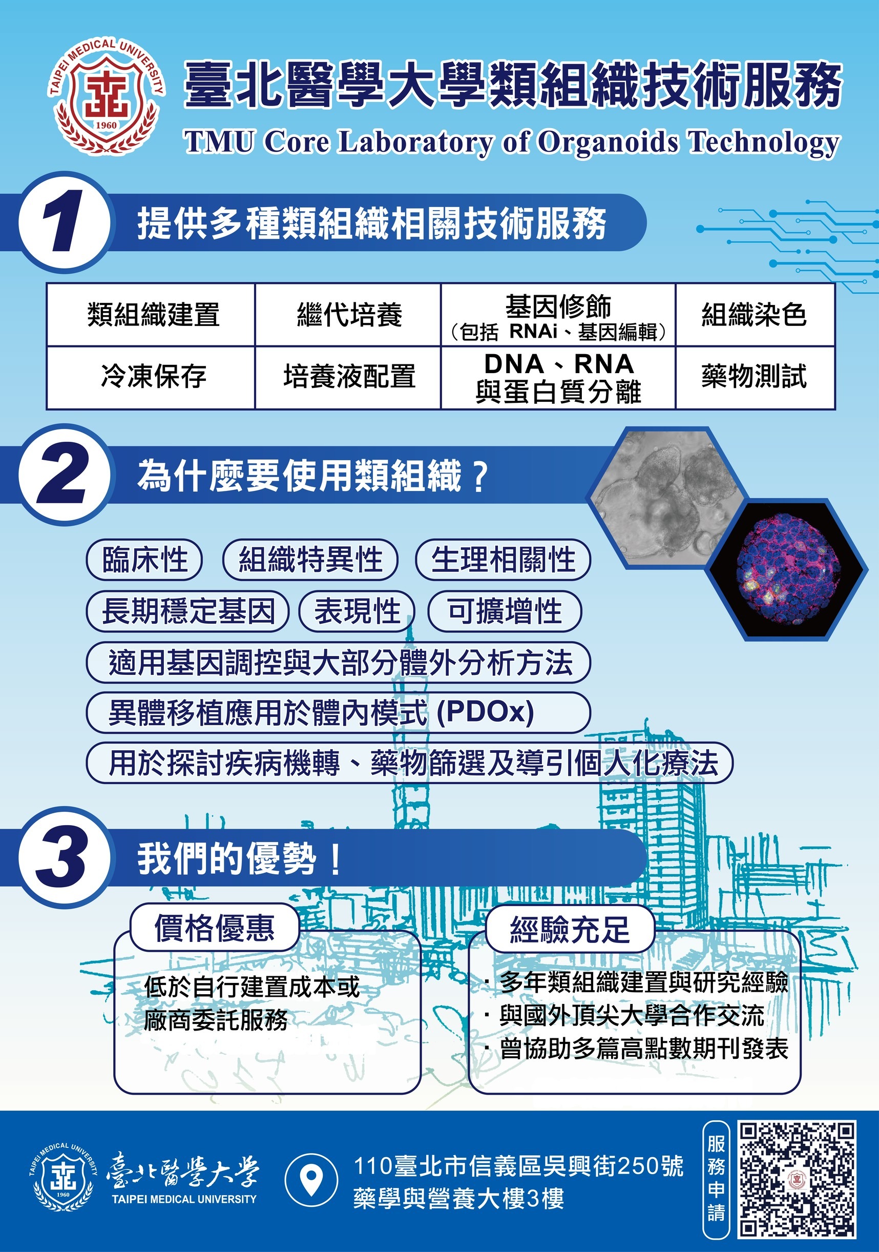 這是一張圖片