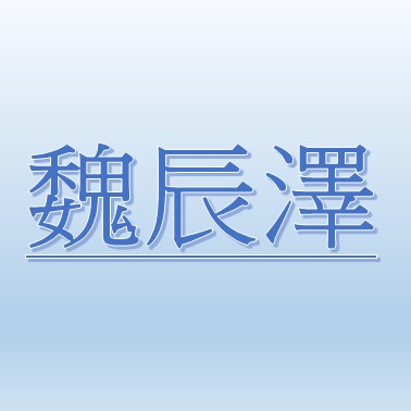 魏辰澤【職務代理人：歐淑芬】